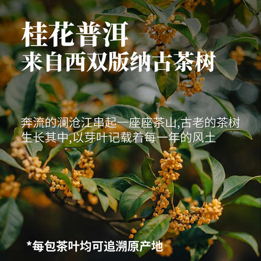 桂花普洱茶100g 商品图1