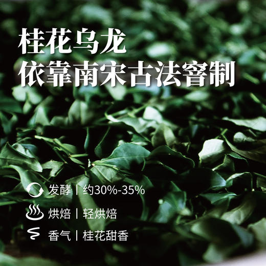 桂花乌龙150g 商品图2