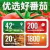 中粮屯河番茄汁礼盒245ml*10听/提（新老包装随机） 商品缩略图4