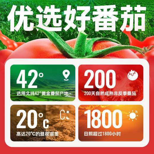 中粮屯河番茄汁礼盒245ml*10听/提（新老包装随机） 商品图4