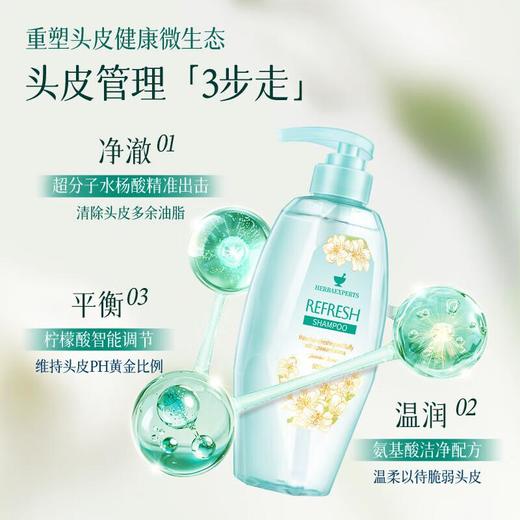 莱清菲清爽控油花香洗发水500ml/瓶 商品图3