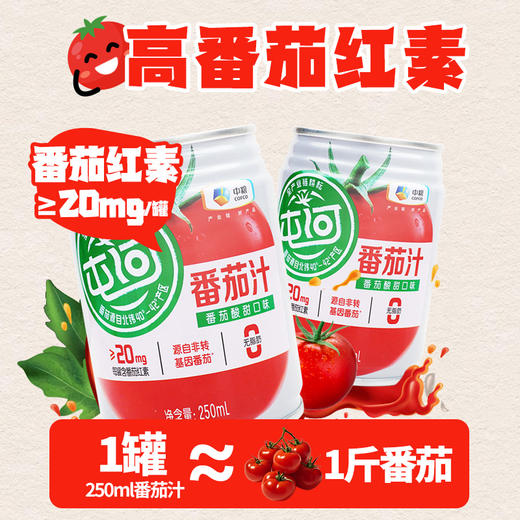 中粮屯河无糖番茄汁250ml果蔬汁（新老包装随机） 商品图2