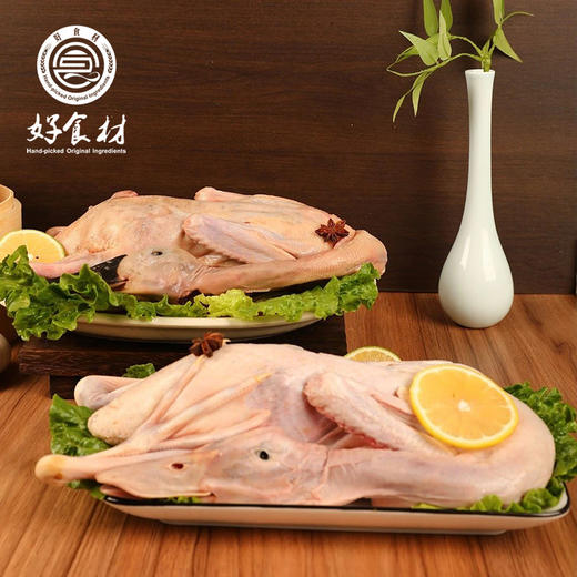 CY-水养老麻鸭 商品图0