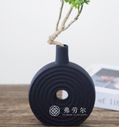 珍珠福禄桐 商品图2