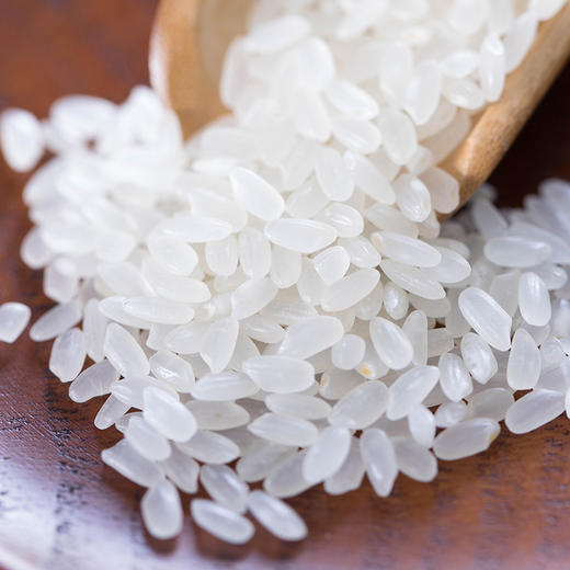 五常长粒香家庭装  5kg 商品图4