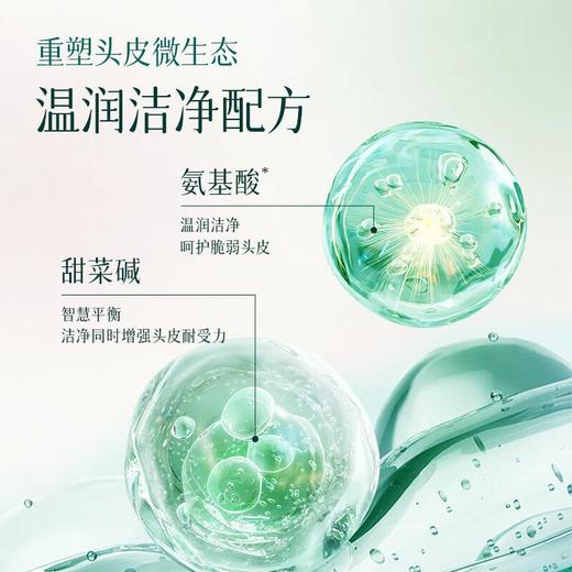 莱清菲清爽控油花香洗发水500ml/瓶 商品图2