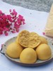 源频面食·红糖坚果包/杂粮野菜团子/ 圆馒头 / 玉米面馒头 商品缩略图2