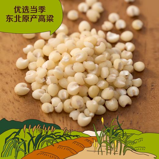 中粮初萃五谷丰登杂粮礼盒4000g（10袋） 商品图3