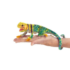 FOLKMANIS 环颈蜥指偶FOLC2798