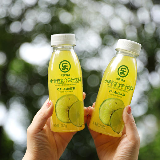 乐源 小青柠复合果汁饮料洁净版280g*9 商品图4