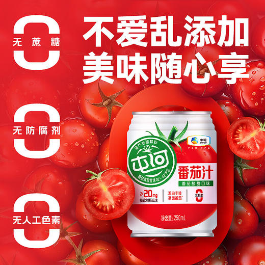 中粮屯河无糖番茄汁礼盒250ml*10听 商品图2
