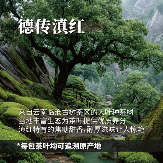 德传滇红75g 商品图1
