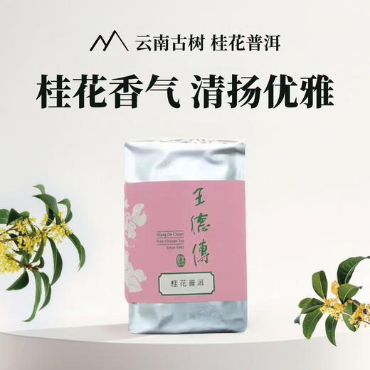 桂花普洱茶100g 商品图0