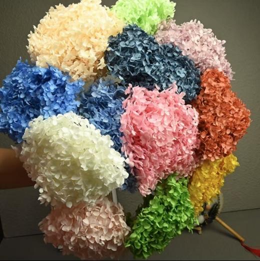 永生安娜绣球 商品图4