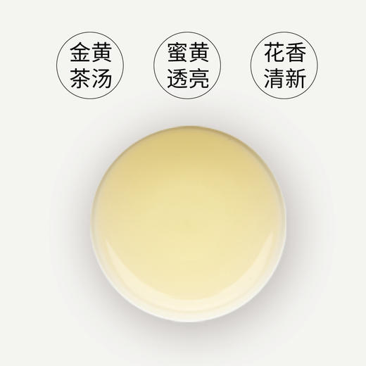 文山包种50g 商品图5