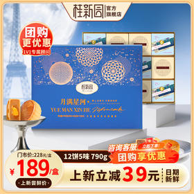 【月满星河】-温州桂新园品牌中秋伴手礼高档月饼礼盒