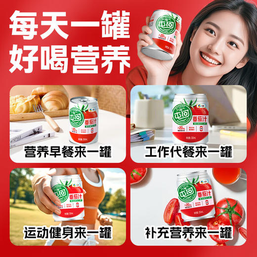 中粮屯河无糖番茄汁礼盒250ml*10听 商品图5