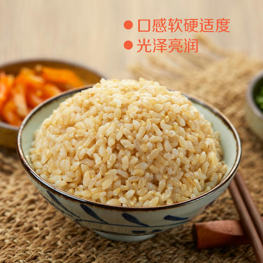 中粮初萃五谷丰登杂粮礼盒4000g（10袋） 商品图2