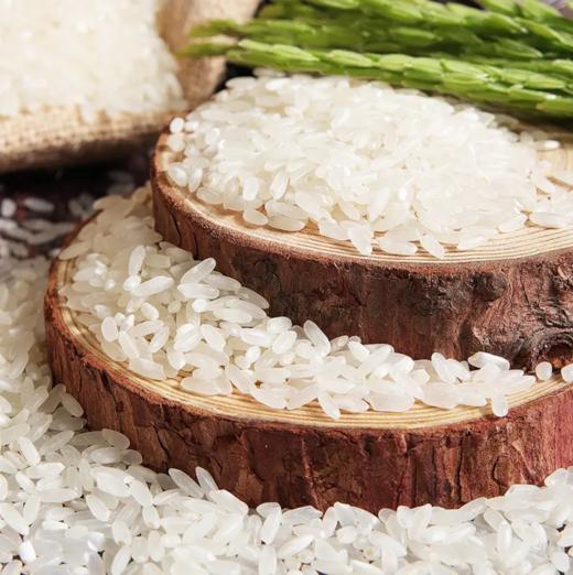 五常稻花香礼盒装  5kg 商品图3