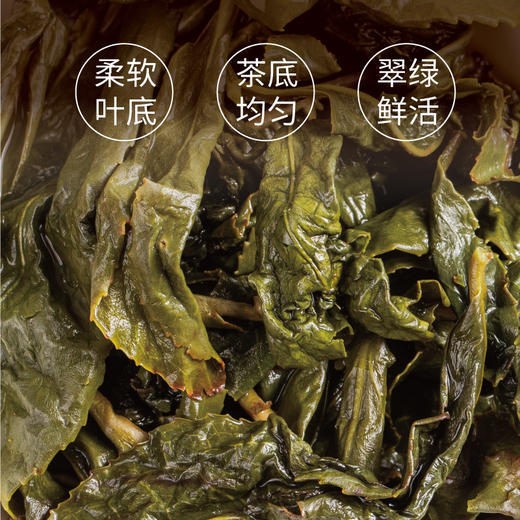 北埔东方美人50g 商品图6