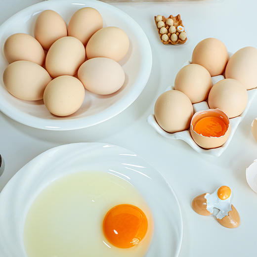 【云南】柠檬蛋40枚/盒 商品图2