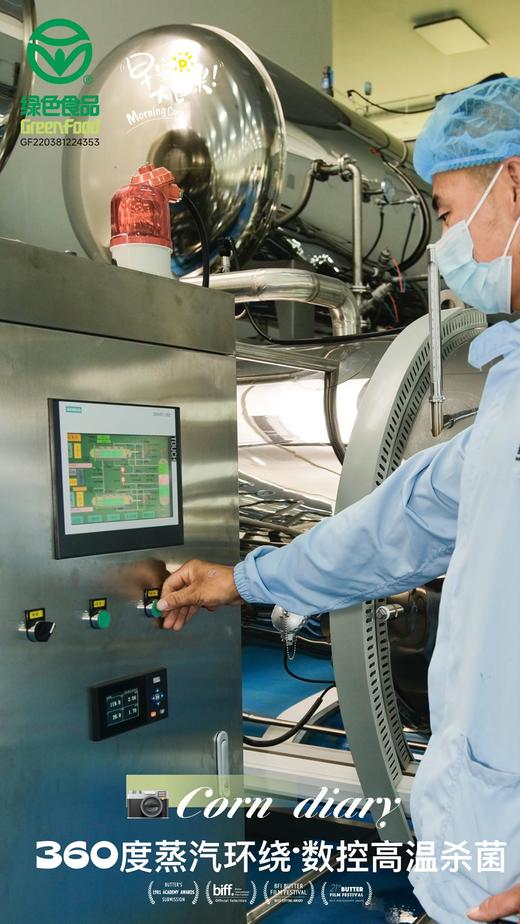 麦秀年早安大苞米头茬东北新鲜黄糯玉米轻负担非转基因 商品图6