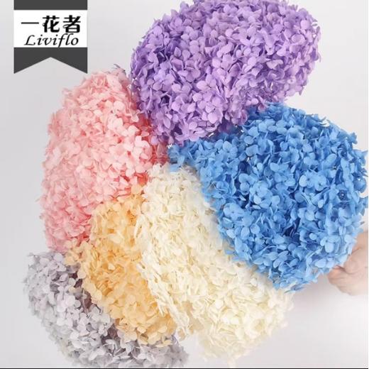 永生安娜绣球 商品图1