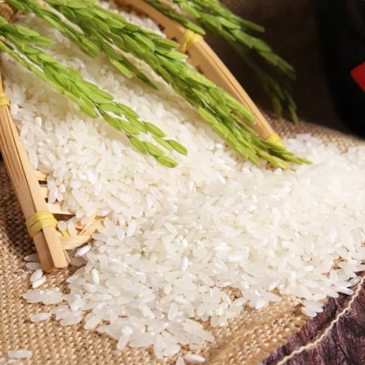 五常稻花香礼盒装  5kg 商品图2