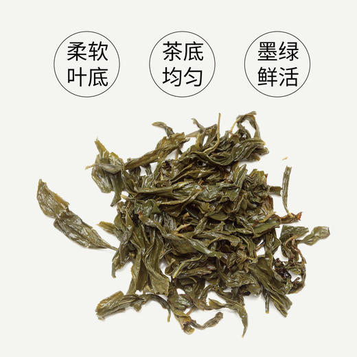 文山包种50g 商品图6