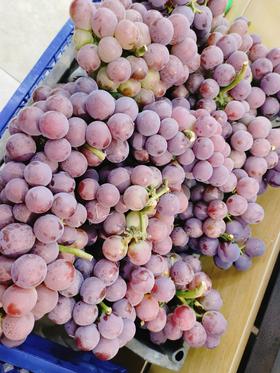采摘园巨峰葡萄2斤