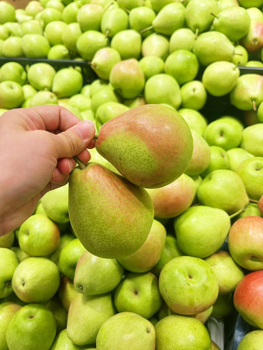 【当季水果】9.9元4斤  精品彩啤梨 商品图2