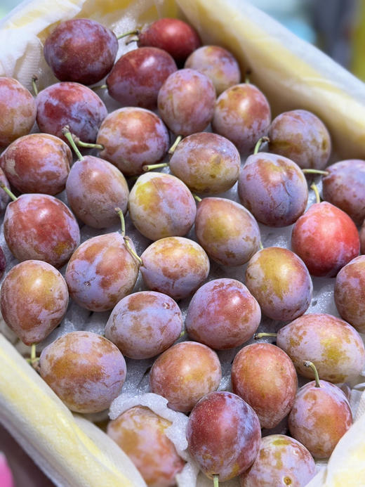 【巨好吃】29.9元每件  整件新疆西梅（4.5斤左右） 商品图1