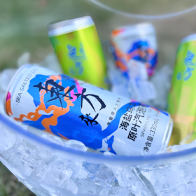 风从东方来原叶汽泡茶330ml*24瓶