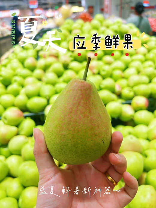 【当季水果】9.9元4斤  精品彩啤梨 商品图0