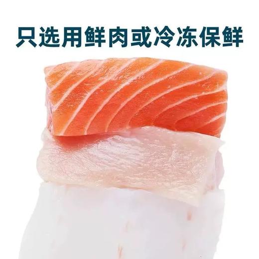 鲜朗幼犬猫试吃装 商品图2