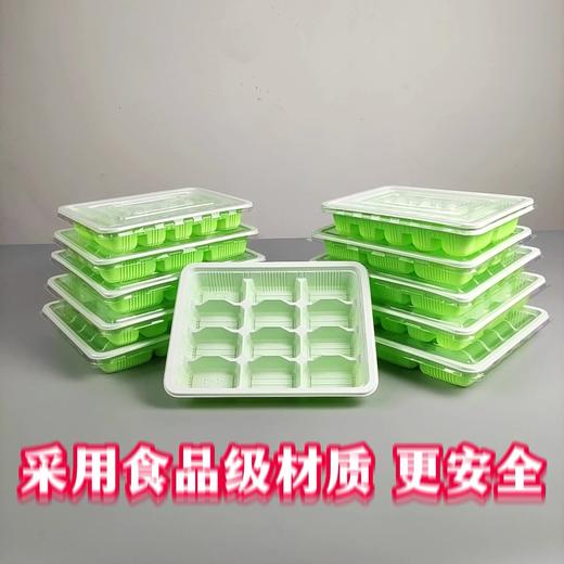 严选 食品级一次性饺子盒 透明外卖盒加厚带盖塑料打包盒速冻冷冻分格饺子盒1个 商品图1