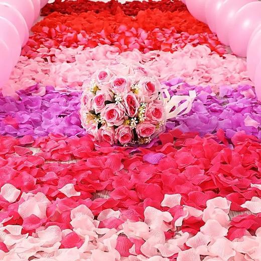 玫瑰花瓣仿真花瓣片 无纺布表白布置浪漫求婚结婚拍摄KTV装饰庆典手撒花 5*5CM/包 商品图1