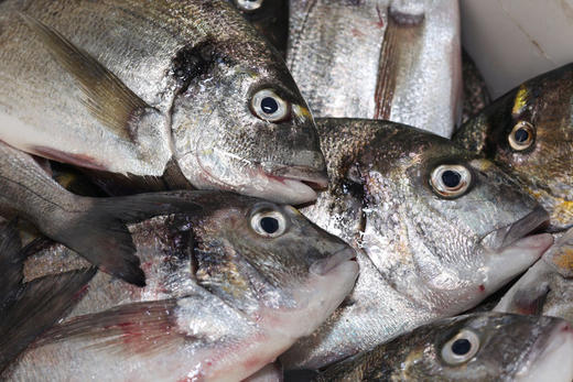 东山岛金头雕 商品图1