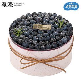 星野蓝莓 生日蛋糕