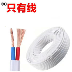 国标电线电缆1.5平方2芯防水防冻空调照明监控电车充电线电源线5米