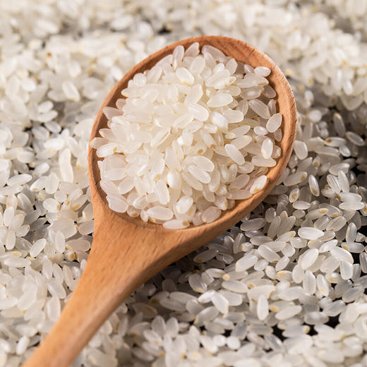 【C】中粮五湖珍品长粒香大米5kg 商品图1