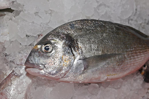 东山岛金头雕 商品图0