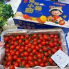 刘婆婆小甜甜千禧 小番茄 圣女果 好吃的甜番茄 商品缩略图14
