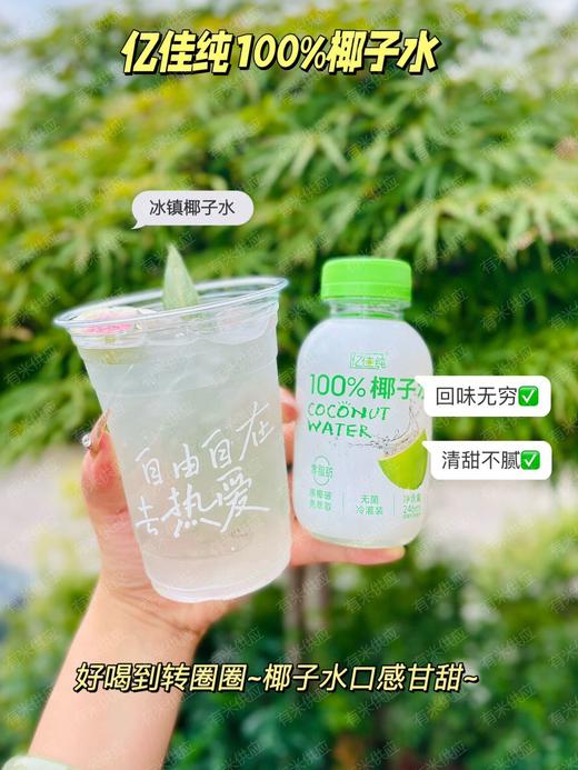 亿佳纯椰子水246ml×8瓶/件【MZXGY】 商品图5