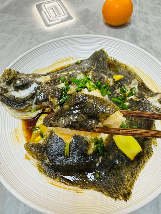 海捕多宝鱼 商品图2