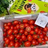 刘婆婆小甜甜千禧 小番茄 圣女果 好吃的甜番茄 商品缩略图12
