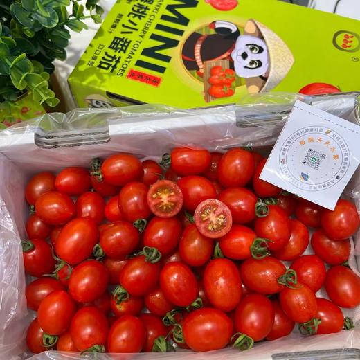 刘婆婆小甜甜千禧 小番茄 圣女果 好吃的甜番茄 商品图12