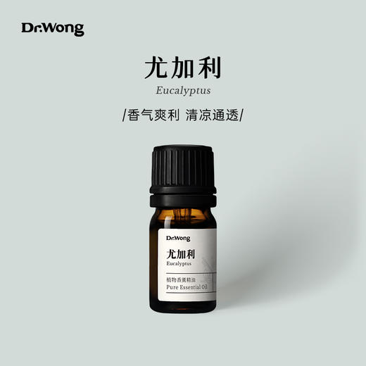 尤加利 植物香薰精油 商品图0