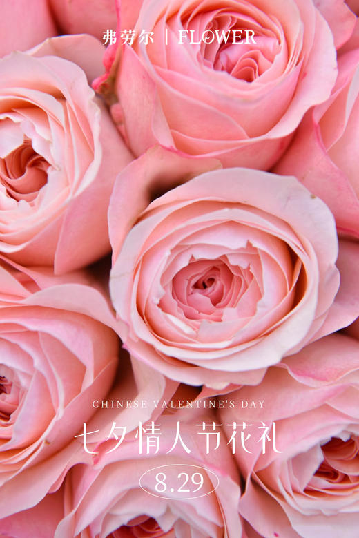 【初见倾心】 商品图1