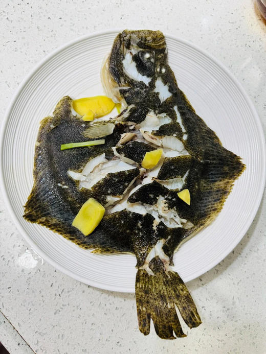 海捕多宝鱼 商品图1